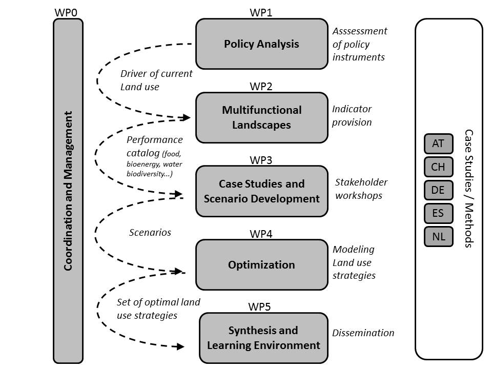 Project structure and working package organisation